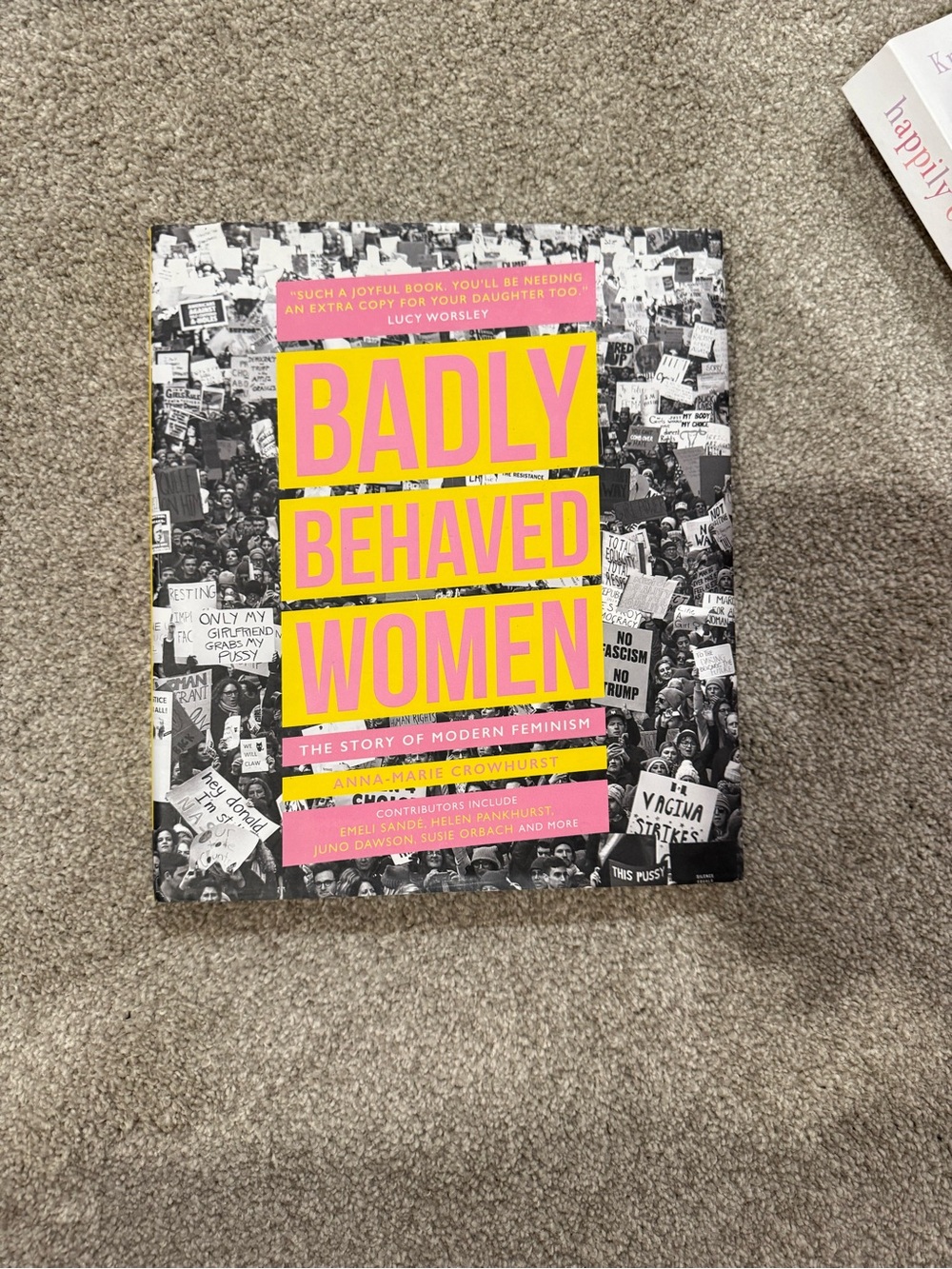 Badly Behaved Women: The Story of Modern Feminism by Anna-Marie Crowhurst